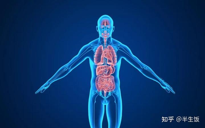 补硒能排出体内铜吗(吃铜能补铜吗)-硒宝网