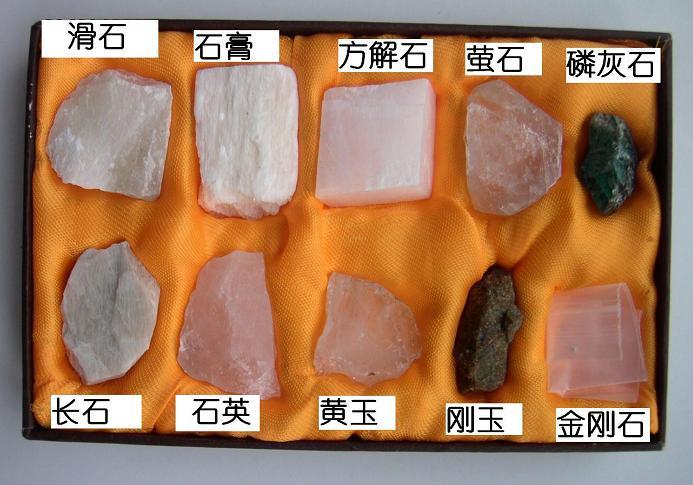 矿物质微量元素有哪些（矿物质微量元素有什么作用）-硒宝网