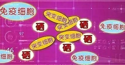 补硒能改善梅毒吗吗（能补改善梅毒硒的药吗）-硒宝网