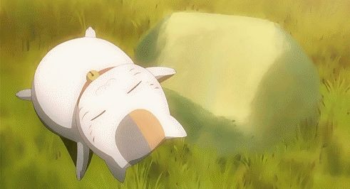 补钙食物（食物补钙好还是钙片补钙好）-硒宝网