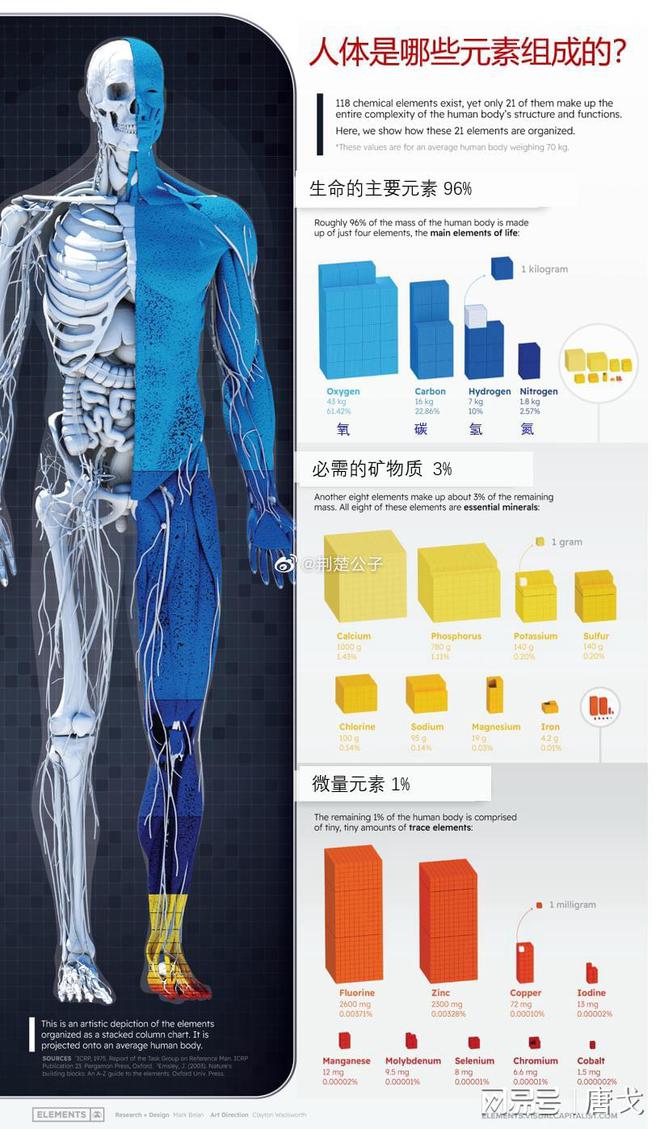人体微量元素(人体微量元素是指哪些)-硒宝网