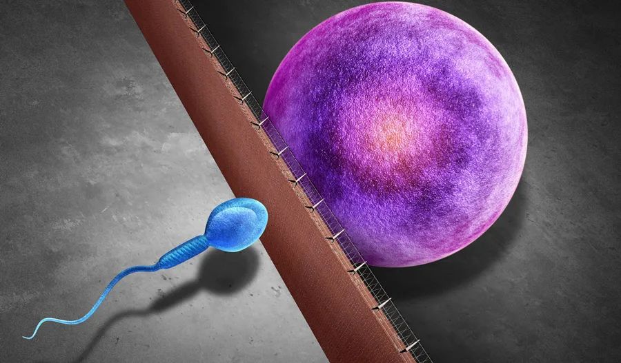 人体的微量元素(人体微量元素是指哪些)-硒宝网