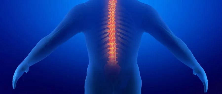 补硒对骨骼有好处吗（骨骼好处补硒有哪些）-硒宝网