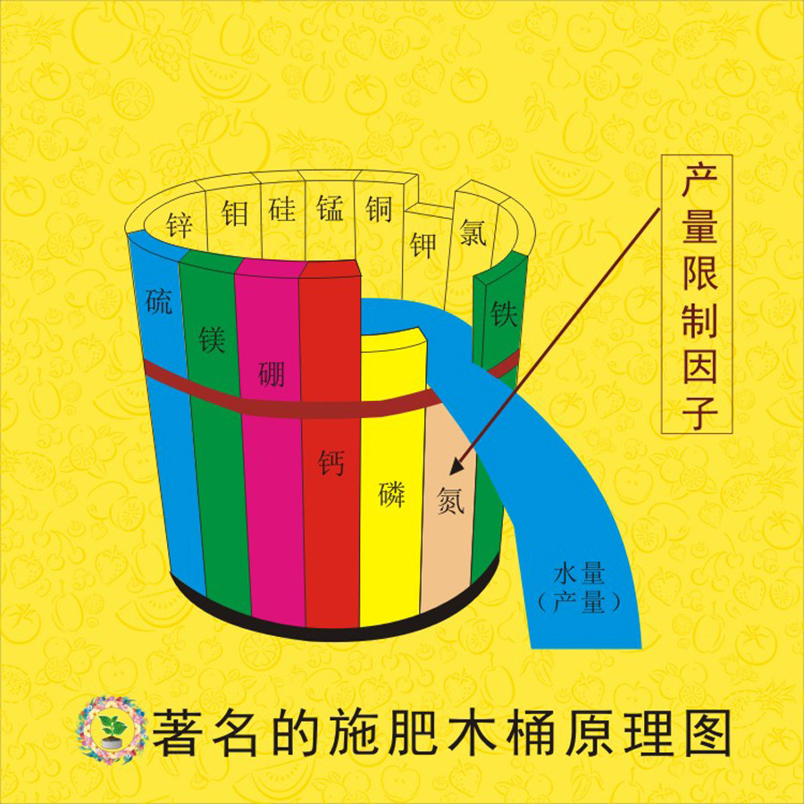 微量元素包括(微量元素包括钙吗)-硒宝网