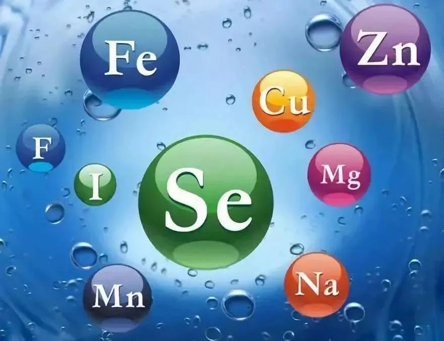 人体微量元素含量排名（十大人体微量元素）-硒宝网