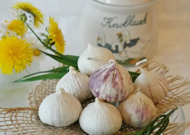 人体微量元素含量排名（含量人体微量元素排名前十）-硒宝网