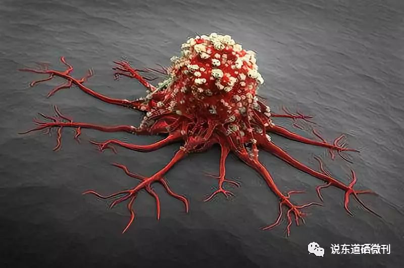 补硒对骨骼有好处吗（骨骼好处补硒有用吗）-硒宝网