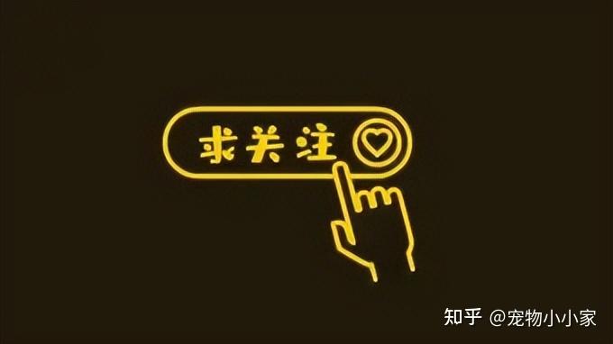 补钙的最佳食物(哪些食物补钙最佳)-硒宝网