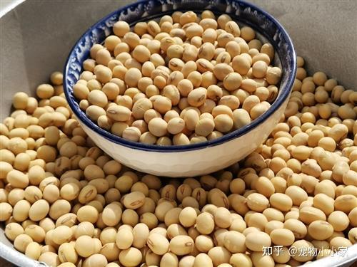 补钙的最佳食物(哪些食物补钙最佳)-硒宝网