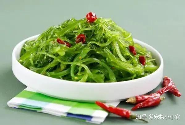 补钙的最佳食物(哪些食物补钙最佳)-硒宝网