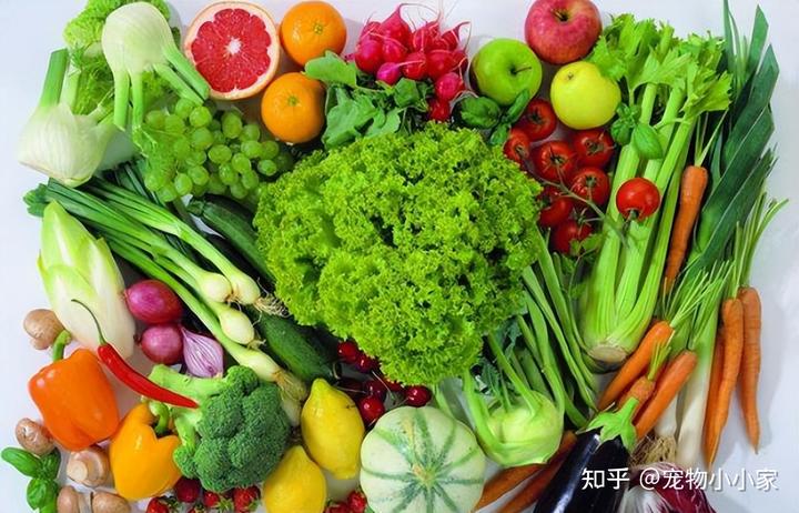 补钙的最佳食物(哪些食物补钙最佳)-硒宝网