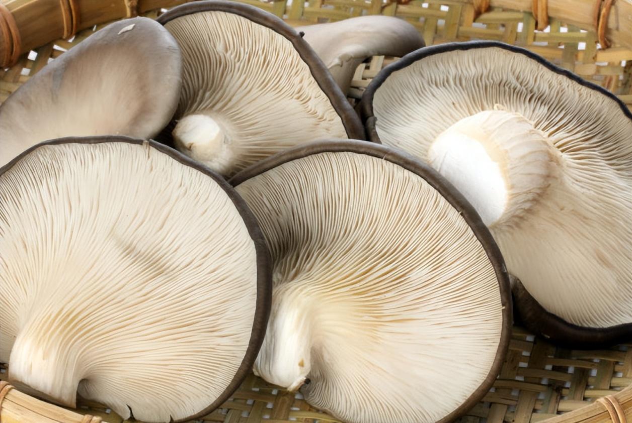 人身体缺硒吃什么补(缺补吃身体硒人会变瘦吗)-硒宝网