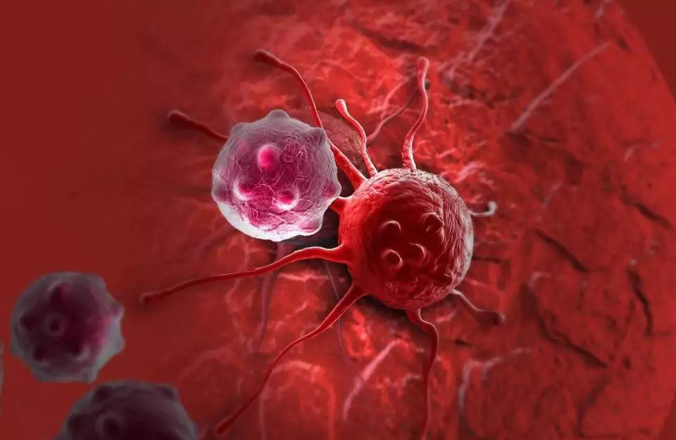 人身体缺硒吃什么补(缺补吃身体硒人会变瘦吗)-硒宝网