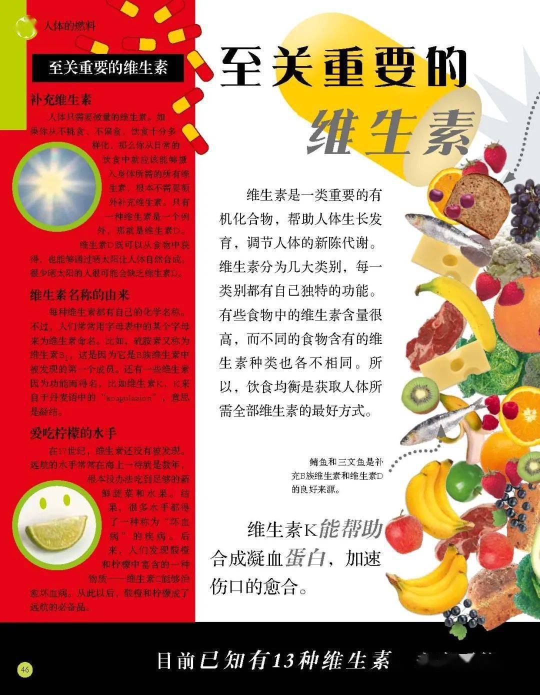 哪些食物补钙效果好（效果食物补钙好吗）-硒宝网