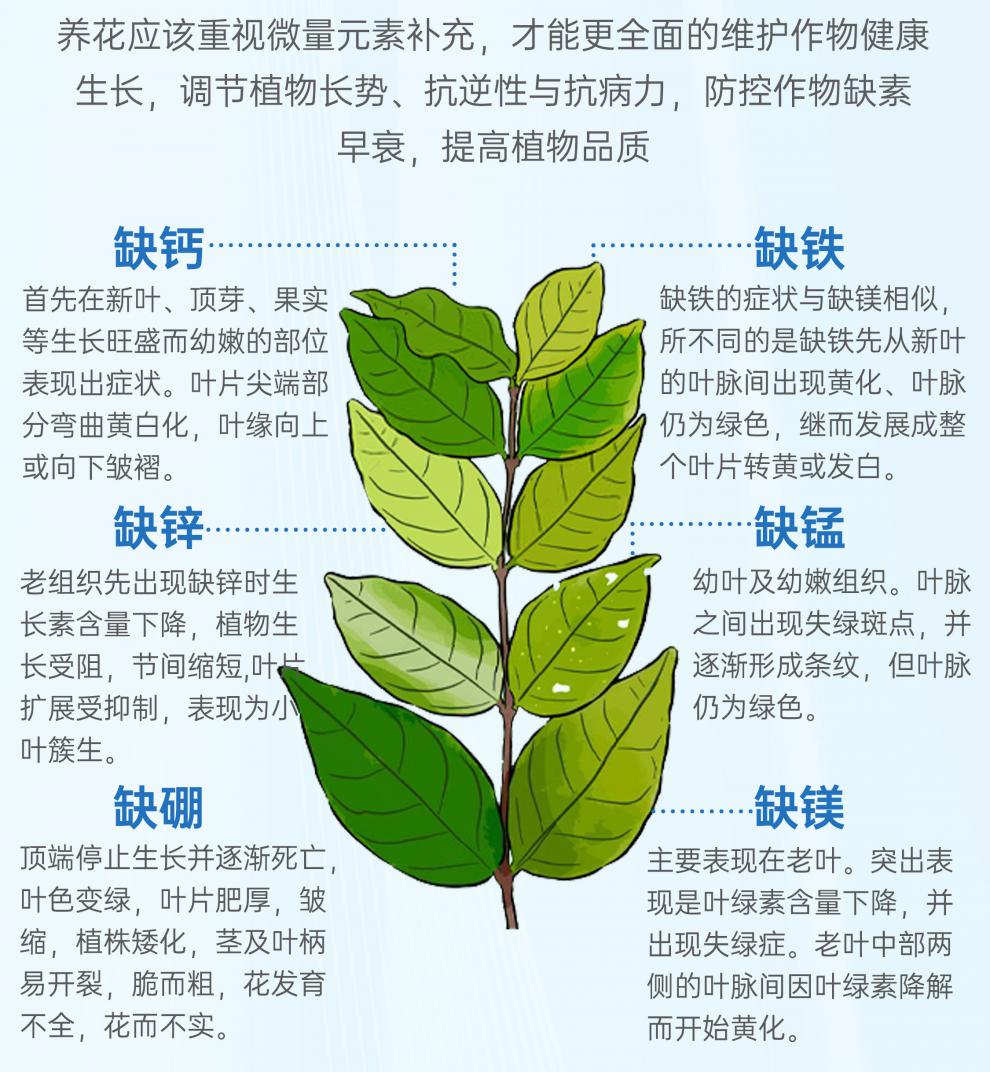 中微量元素(微量元素中毒什么症状)-硒宝网