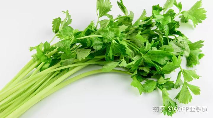 补钙的蔬菜有哪些(蔬菜补钙有哪些)-硒宝网