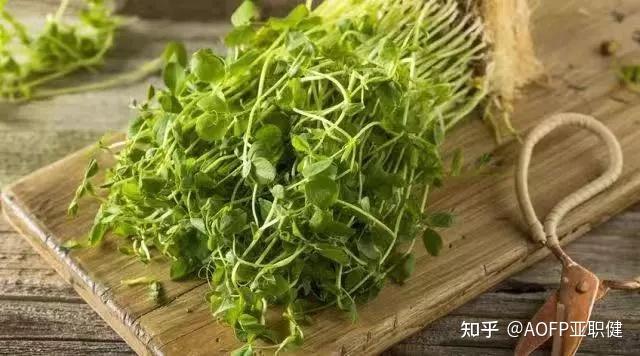 补钙的蔬菜有哪些(蔬菜补钙有哪些)-硒宝网