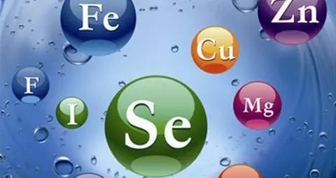 微量元素肥料(微量元素肥料有哪些)-硒宝网