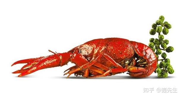 雌激素多低才要补硒(补硒会增加雌激素吗)-硒宝网