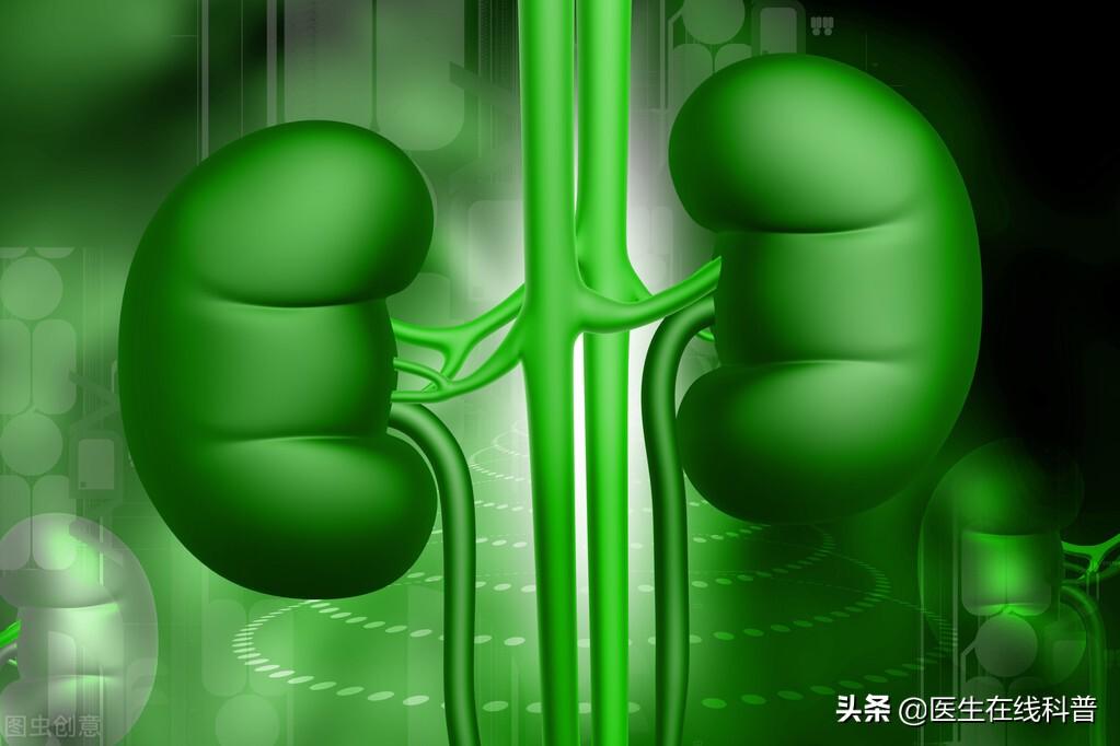 肾病补硒哪种好一点(补硒对肾脏有什么好处)-硒宝网