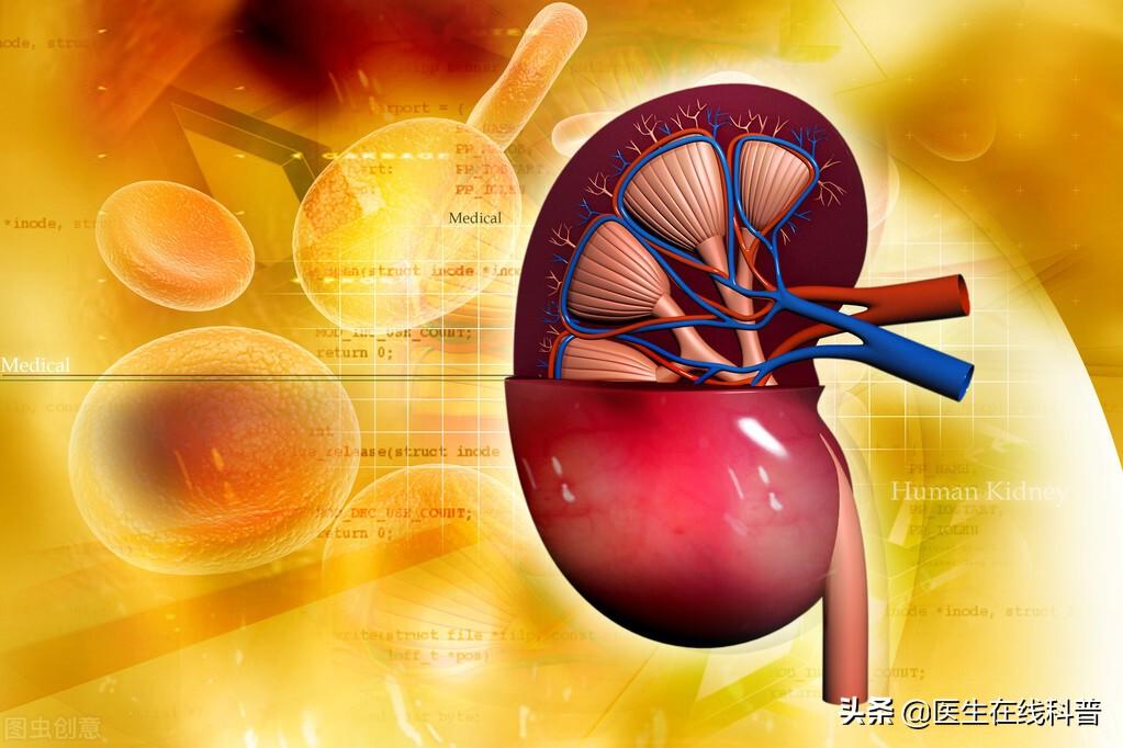 肾病补硒哪种好一点(补硒对肾脏有什么好处)-硒宝网