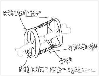 儿童补钙（补钙儿童吃什么好）-硒宝网