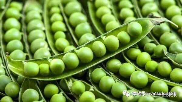 一岁宝宝补硒吃什么(宝宝补硒的食物有哪些)-硒宝网