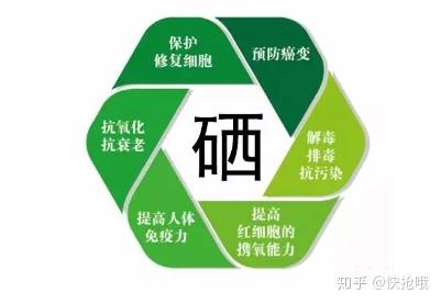 中国人有必要补硒吗(有补硒的必要吗)-硒宝网
