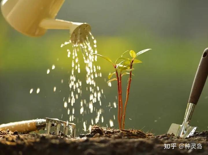 铁属于微量元素吗(微量铁元素属于什么检查)-硒宝网