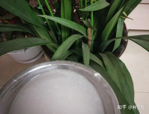 铁属于微量元素吗(微量铁元素属于什么检查)-硒宝网