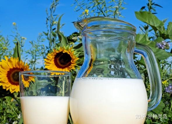 铁属于微量元素吗(微量铁元素属于什么检查)-硒宝网