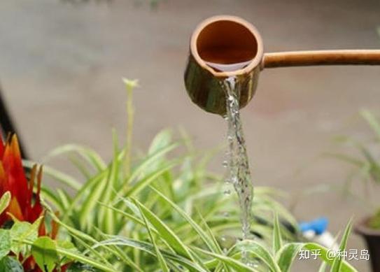 铁属于微量元素吗(微量铁元素属于什么检查)-硒宝网