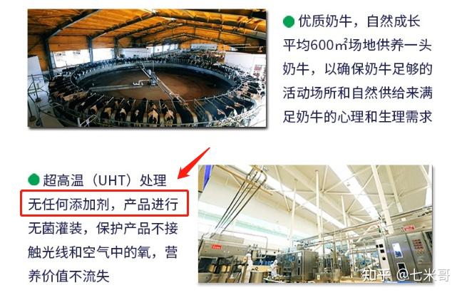 哪种牌子牛奶补钙最好（哪种牌子牛奶补钙最好百度百科）-硒宝网