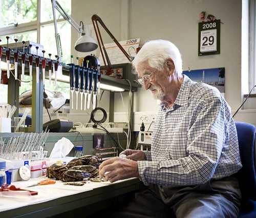 补硒对血脂高好吗吗（硒与血脂的关系）-硒宝网