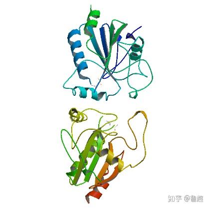 补硒对血脂高好吗吗（硒与血脂的关系）-硒宝网