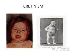 补硒对血脂高好吗吗（硒与血脂的关系）-硒宝网