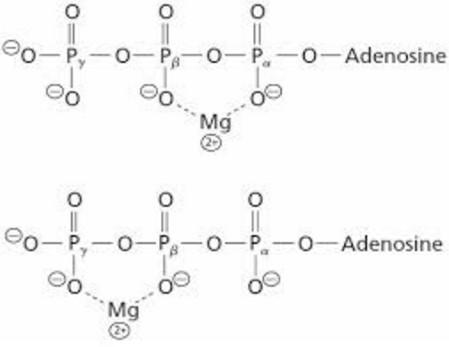 补硒对血脂高好吗吗（硒与血脂的关系）-硒宝网