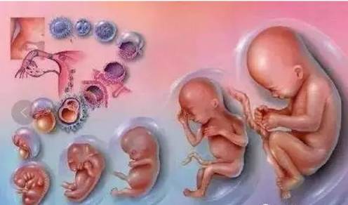 微量元素有必要检查吗(有必要微量元素检查吗)-硒宝网