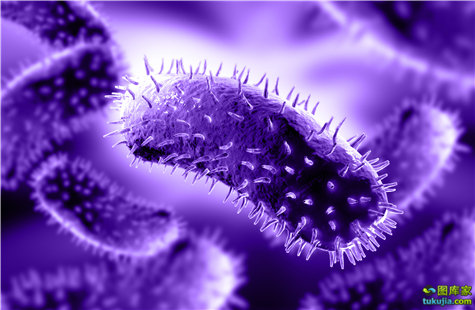 组成细胞的微量元素（细胞的微量元素）-硒宝网