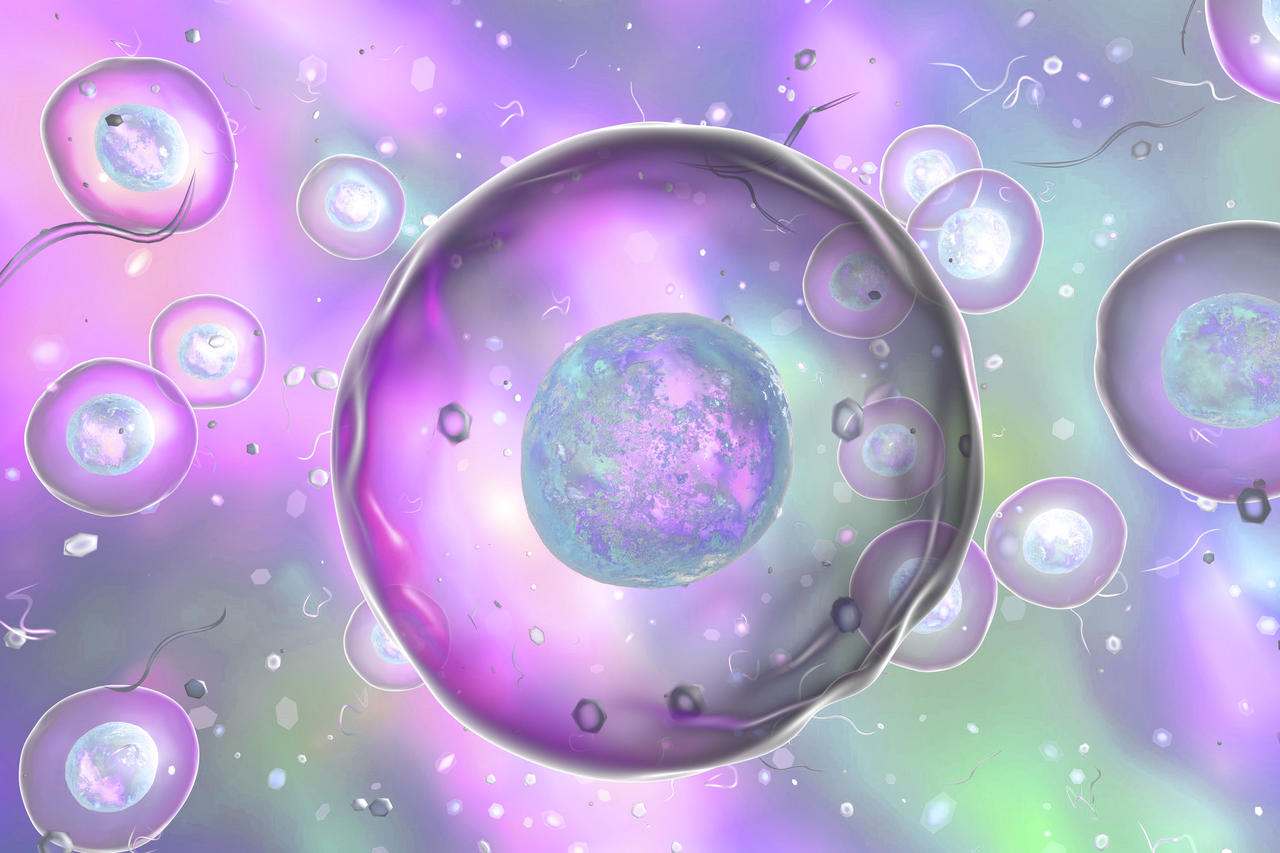 组成细胞的微量元素（细胞的微量元素）-硒宝网