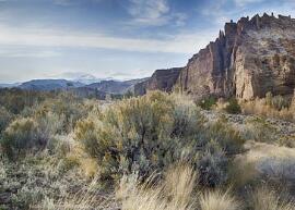 老人 补钙（补钙老人最好补钙）-硒宝网
