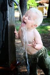 镁是微量元素吗(镁微量元素是指哪些元素)-硒宝网