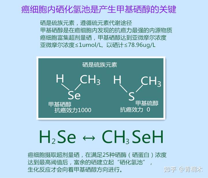 含硒代蛋氨酸的补剂(硒代蛋氨酸有毒性吗)-硒宝网
