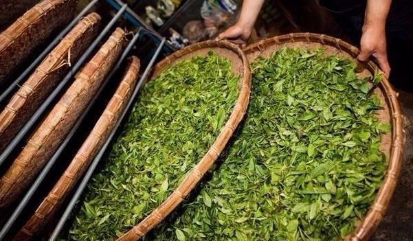 一般茶叶能补硒吗吗(茶叶能补一般硒吗)-硒宝网