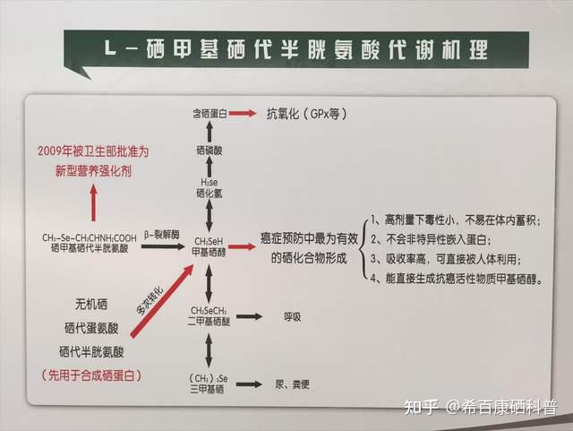 补硒是补哪种硒好些(补硒的误区)-硒宝网
