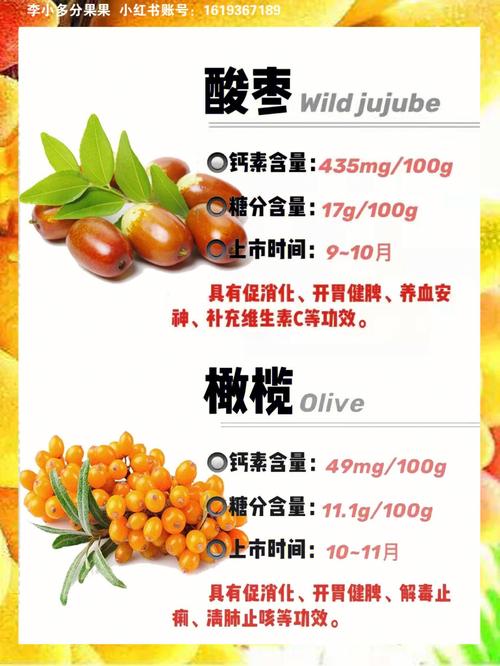 十大补钙水果(什么水果补钙)-硒宝网