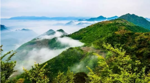 老年人补硒的价格表(老年人补硒有什么作用)-硒宝网