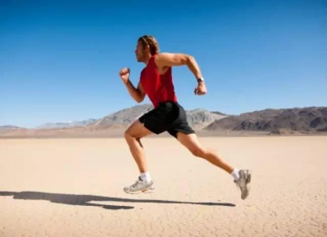 吃什么补微量元素（补微量元素吃什么药好）-硒宝网