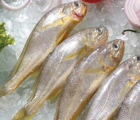 补钙的蔬菜（蔬菜补钙排名）-硒宝网