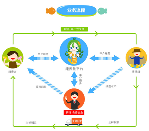 补钙的蔬菜（蔬菜补钙排名）-硒宝网
